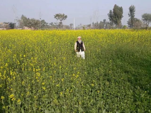 A good chance for investment near board office Multan road D. G.KHAN Dera Ghazi Khan ID 07360
