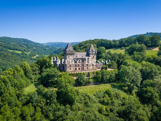 À la frontière du Cantal et de l'Aveyron, au surplomb de la. 1070m² Vic sur Cère