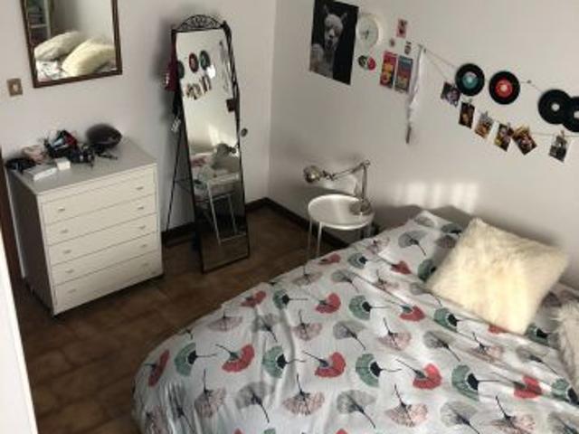 A lavoratrice singola in appartamento zona stadio Bologna