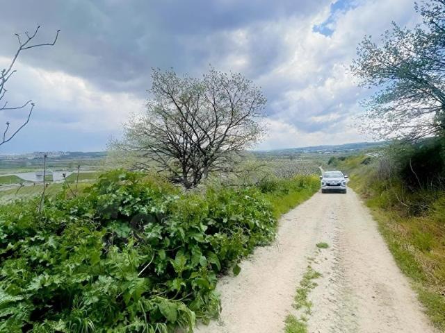 ÇAĞLAYAN DA 3340 M2 İNCİR BAHÇESİ