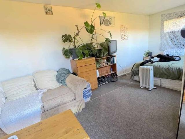 A lifestyle home under 1 hour from Christchurch