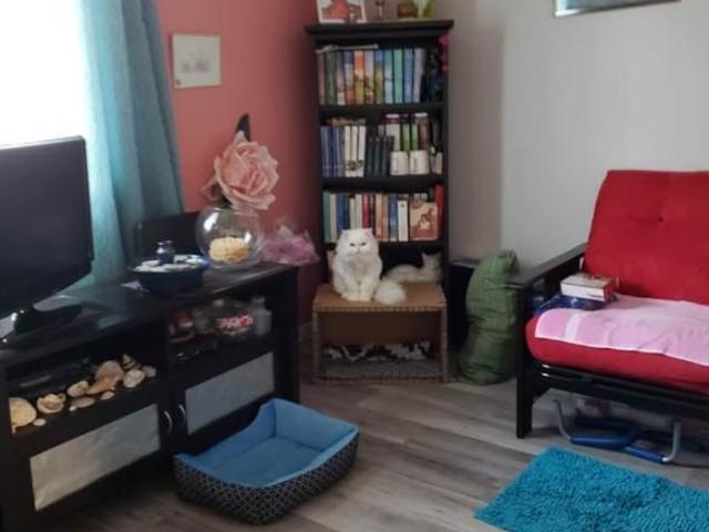 À LOUER – Magnifique 4 ½ très éclairé | 1 500 $/mois