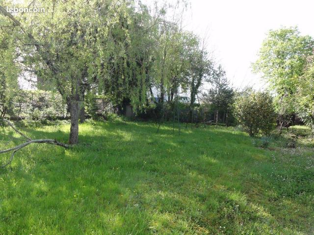 A louer maison T3 avec jardin