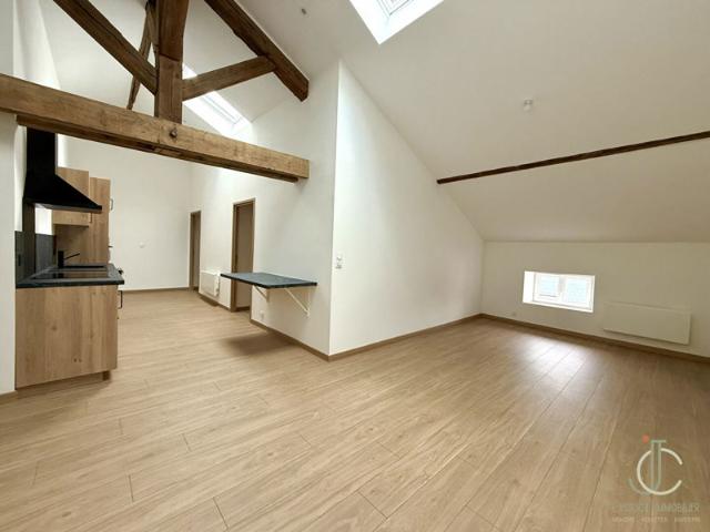 A louer Appartement Nancy Secteur St fiacre 10min de la Gare
