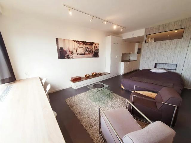 à louer Appartement Anvers Brialmontlei