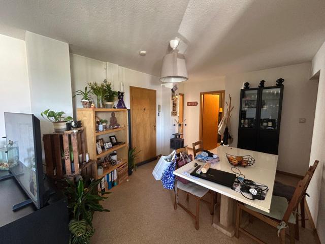 À louer Appartement F3/F4 avec jardin privatif à Saint Louis Neuweg