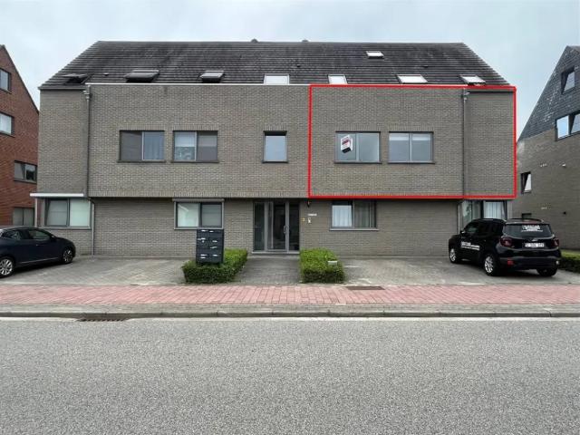 à louer Appartement Geel Laar