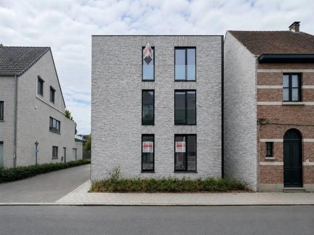 à louer Appartement Herentals Bijenkorf