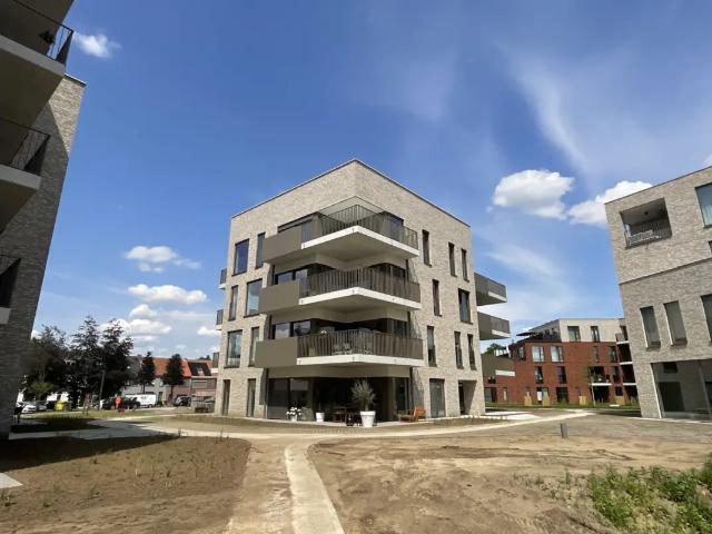 à louer Appartement Herentals Kleerroos