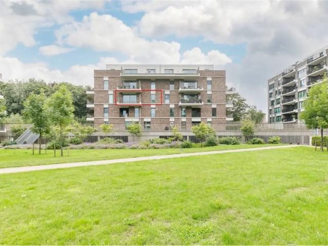 à louer Appartement Lier Frederik Peltzerstraat