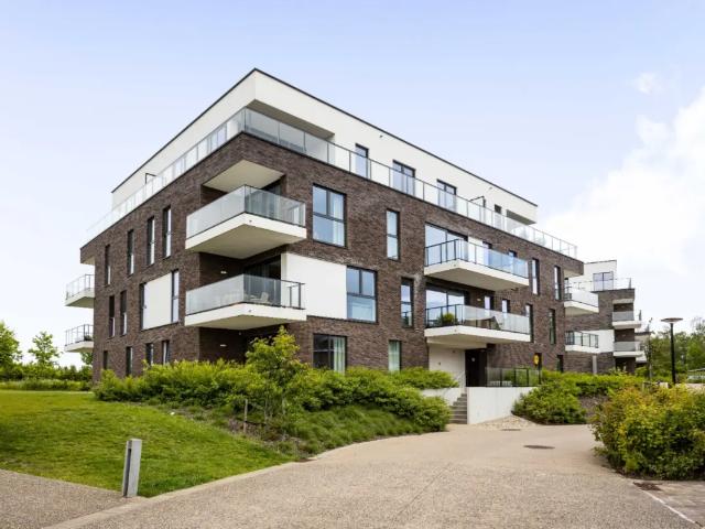 à louer Appartement Renaix Bredestraat