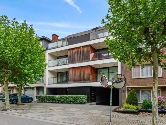 à louer Appartement Saint Trond Tichelrijstraat