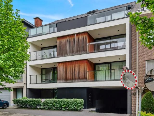à louer Appartement Saint Trond Tichelrijstraat