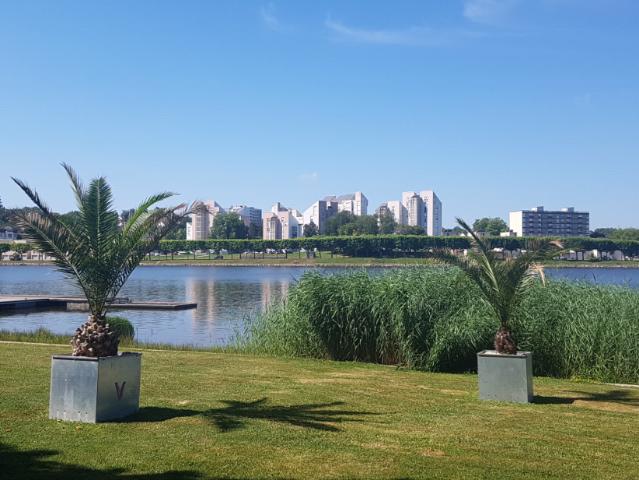 A LOUER APPARTEMENT T2 MONTCEAU LES MINES