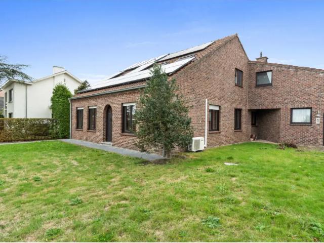 à louer Appartement Tessenderlo Neerstraat