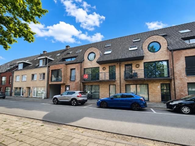 à louer Appartement Tessenderlo Sint Jozefsplein