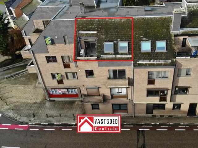 à louer Appartement Tongres Bilzersteenweg