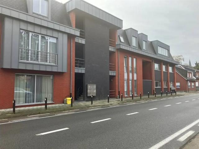 à louer Rez De Chaussée Wechelderzande Vlimmersebaan