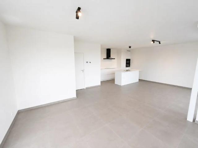 à louer Appartement Zwevezele Hille