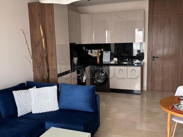 À louer Bel Appartement de 55m2 Californie