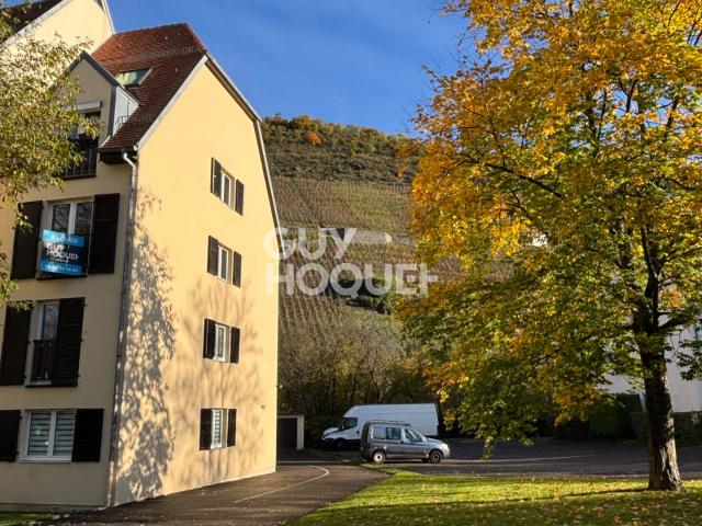 À louer: Charmant appartement de 2 pièces à Thann
