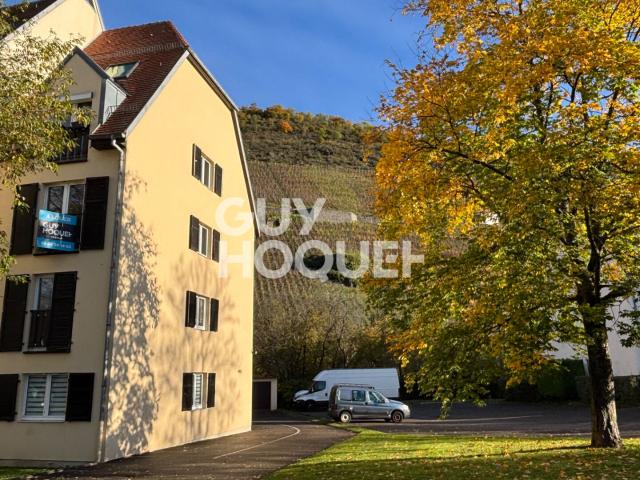 À louer: Charmant appartement de 2 pièces à Thann