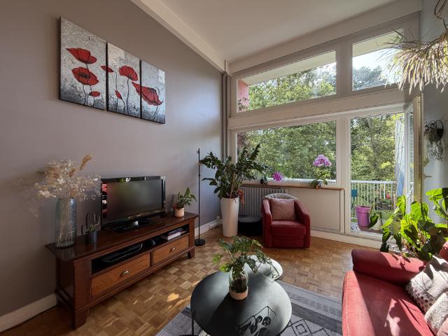 A LOUER JARDIN DES PLANTES APPARTEMENT MEUBLÉ DE TYPE 2 AVEC GARAGE