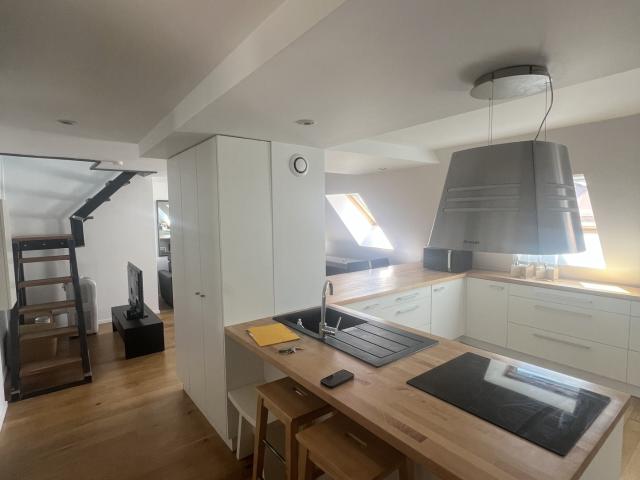 À LOUER ! Lumineux duplex de 47m2 situé à la Krutenau