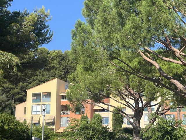 A LOUER LA CIOTAT Agréable T1 en rez de jardin, résidence fermée, proche de la mer