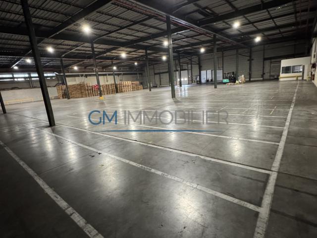 À LOUER Locaux d'activités de 315 à 3 600 m2