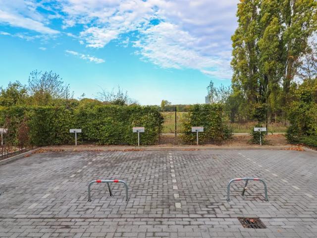 à louer Parking Zwijnaarde Grotesteenweg Noord