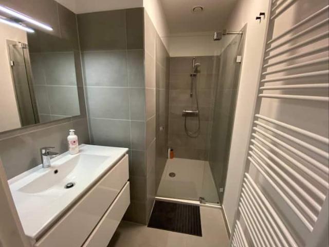 A louer stidio meublé à Paris 15ème, salle d'eau privée, 21m², étage 1