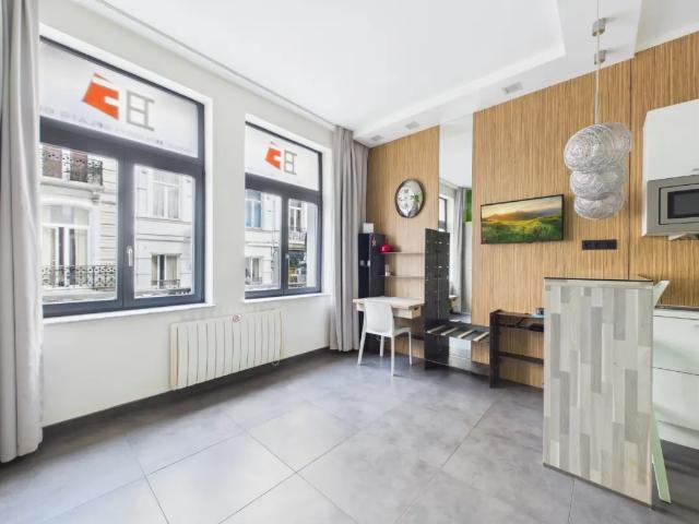 à louer Studio Bruxelles Rue du Pont de la Carpe