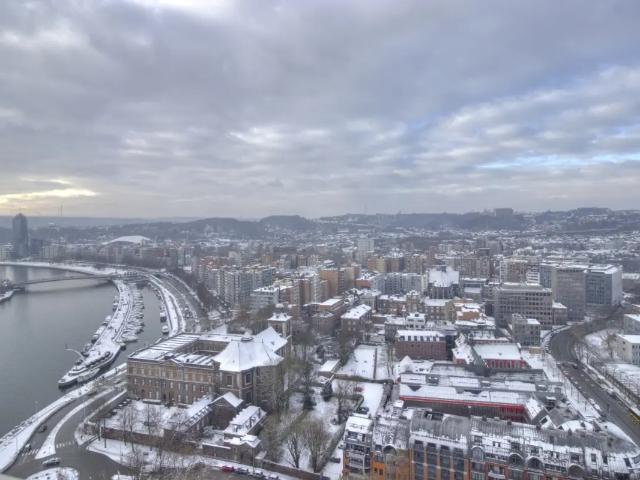 à louer Studio Liège Quai Paul van Hoegaerden