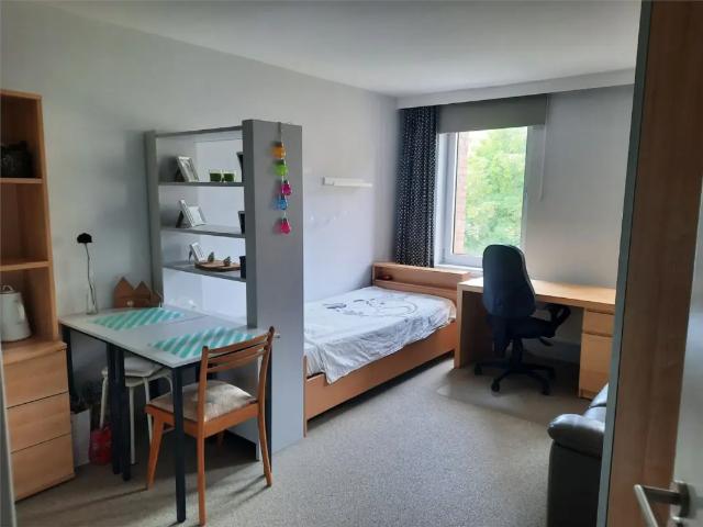 à louer Studio Louvain Naamsestraat