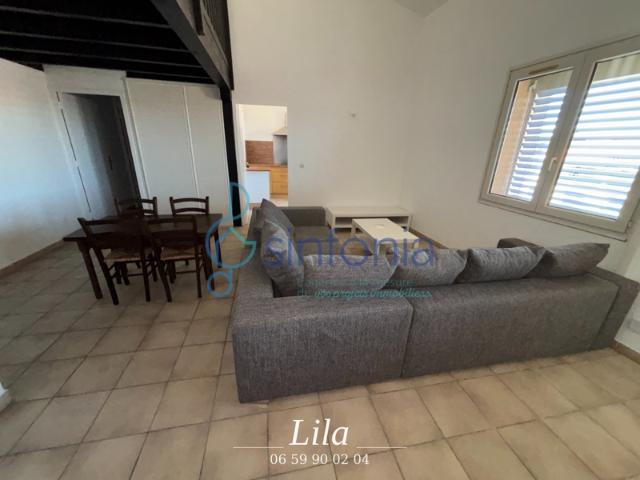 À LOUER SUPERBE T2 MEUBLÉ AVEC MEZZANINE 61,89 m2 LUNE