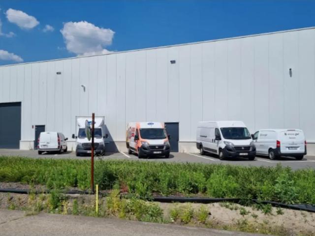 à louer Surface industrielle Aartselaar