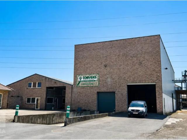 à louer Surface industrielle Beringen Voortstraat