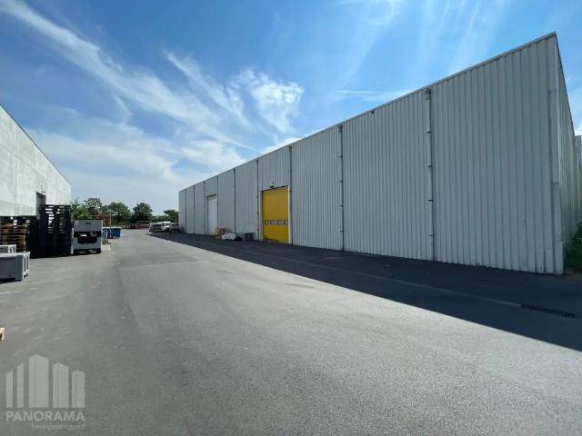 à louer Surface industrielle Bruges Kleine Pathoekeweg