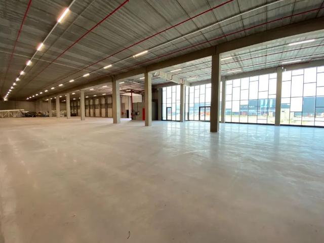 à louer Surface industrielle Evergem Zonneweg