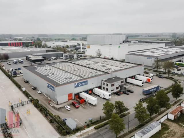 à louer Surface industrielle Londerzeel Weverstraat