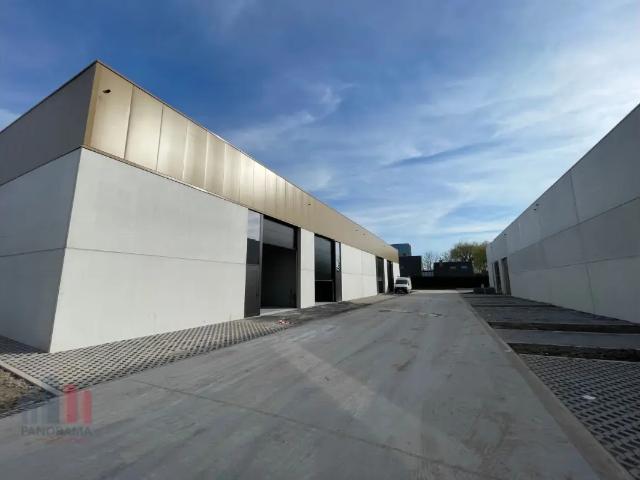 à louer Surface industrielle Roeselare Kwadestraat