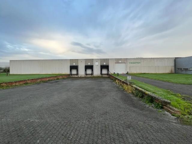 à louer Surface industrielle Sint Niklaas Hoge Heerweg