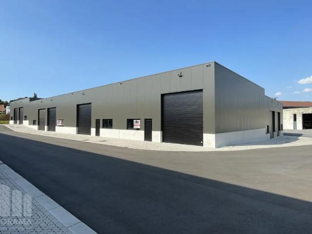 à louer Surface industrielle Tielt Deinsesteenweg
