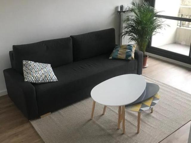 A LOUER T1 MEUBLE ANGERS DOUTRE