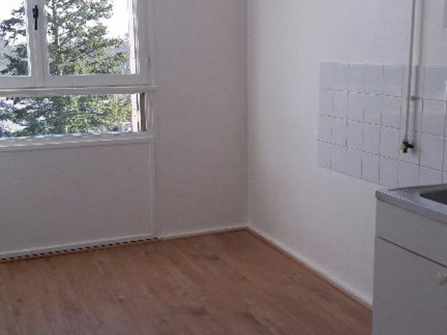 A LOUER T1 28m² 8 AVENUE DU GENERAL DE GAULLE CALUIRE ET CUIRE 69300, 69300 69300