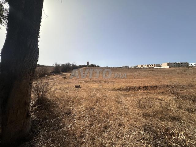 À louer 2 hectares