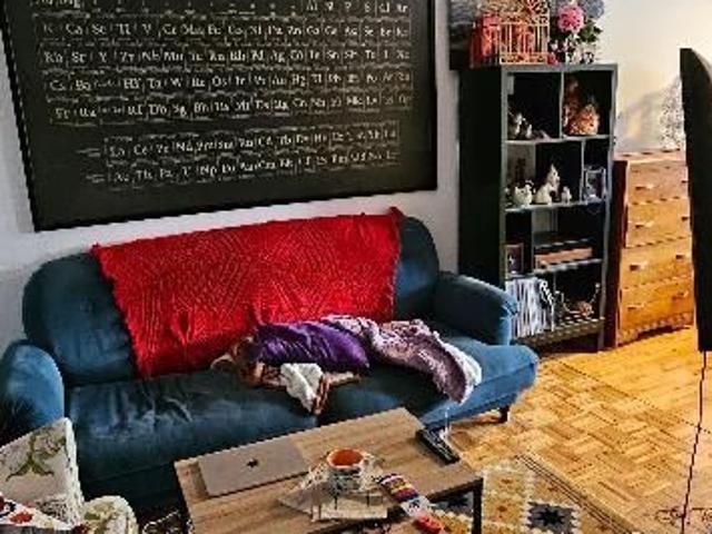 À louer – 3 ½ – Plateau Mont Royal – 1 296 $/mois – Disponible le 1er juillet