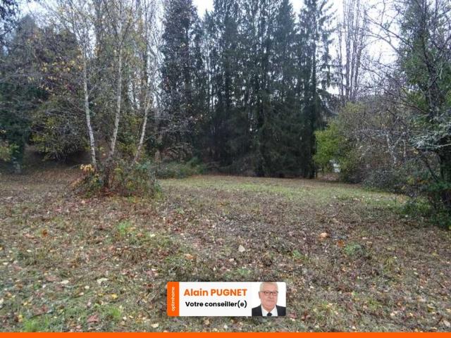 A PANAZOL BEAU TERRAIN DE 8182 M² AVEC CU DANS UNE IMPASSE