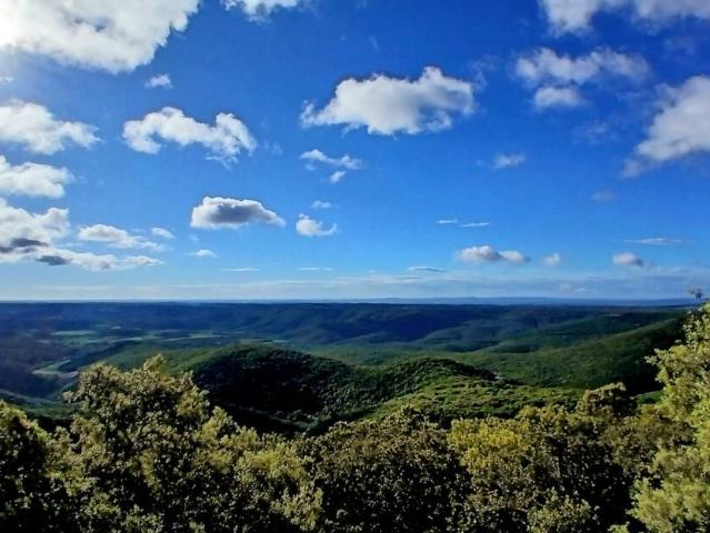 A peaceful hamlet with no local shops, located 5 minutes fro. 300m² Saint Chinian